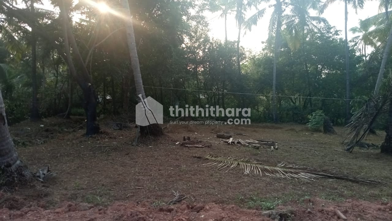 Agricultural land for sale at Cheruvathoor Kasaragod