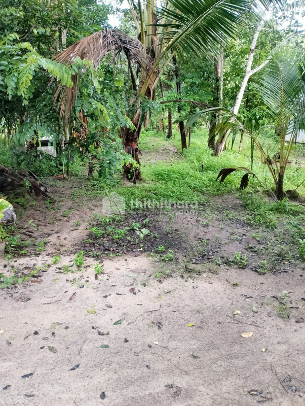 Residential Land for sale at Mavelikkara Alappuzha