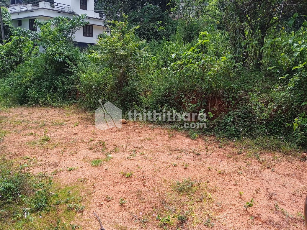 Residential plot for sale at Vennikulam Pathanamthitta