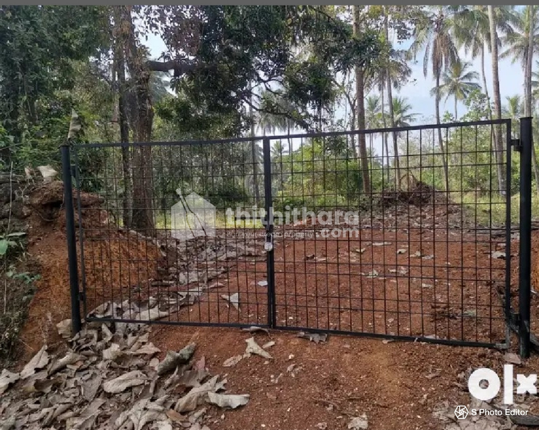 50 Cent Residential Plot for Sale at Perinthalmanna, Malappuram