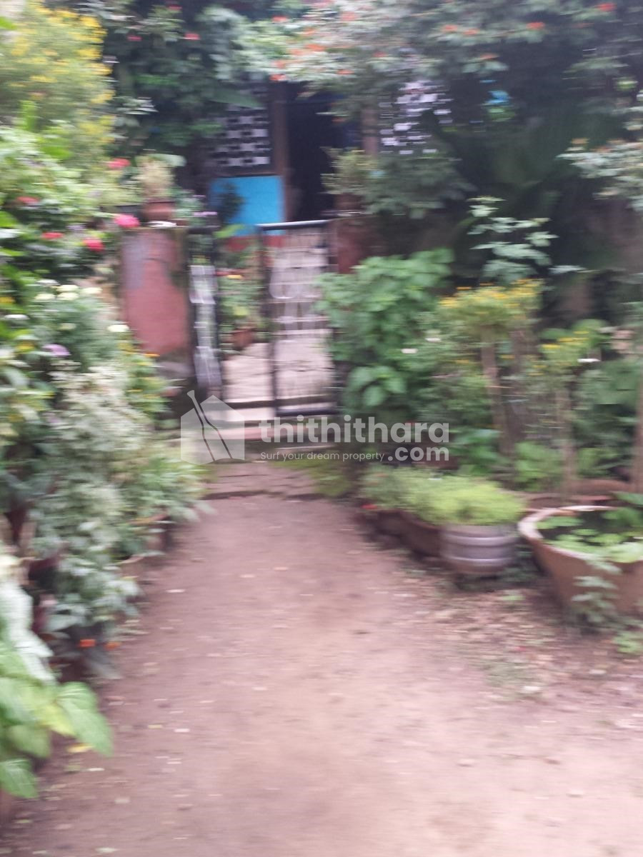 Residential house for sale at Palakkad City Palakkad