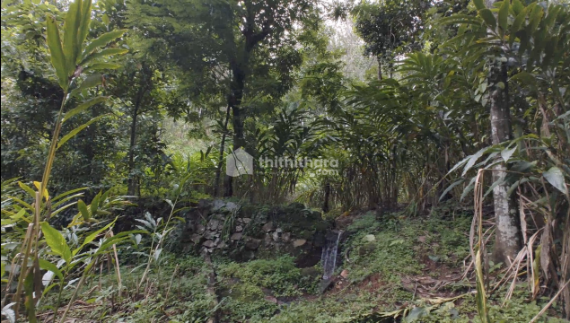 Residential land for sale near Munnar Idukki
