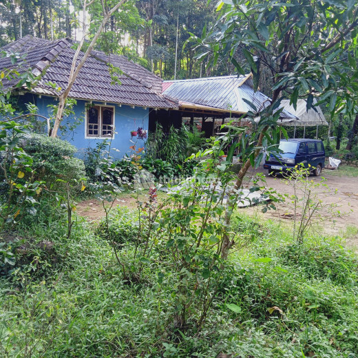Residential land for sale at Kalpetta Wayanad