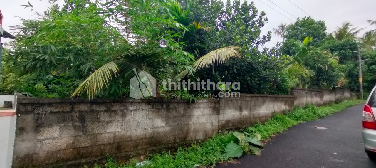 Residential Land for sale in Mukkattukara, Thrissur.