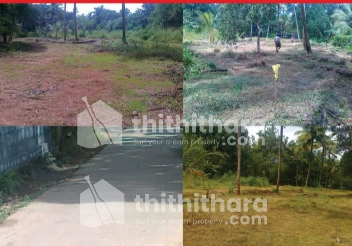  തൃശ്ശൂർ 30 സെൻറ് സ്ഥലം വിൽപ്പനയ്ക്ക്