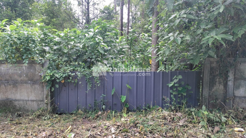 Residential Plot for sale at Mattathur Thrissur