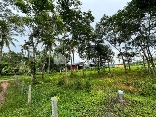 Residential land for sale near Thaloor,Wayanad.