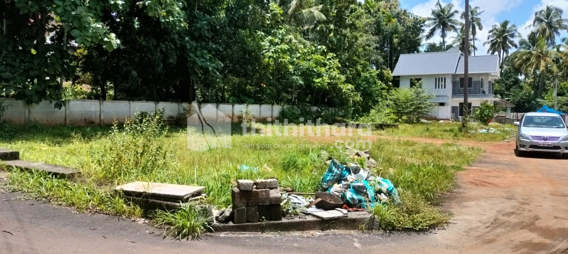 Residential Land for sale in Nadathara Thrissur
