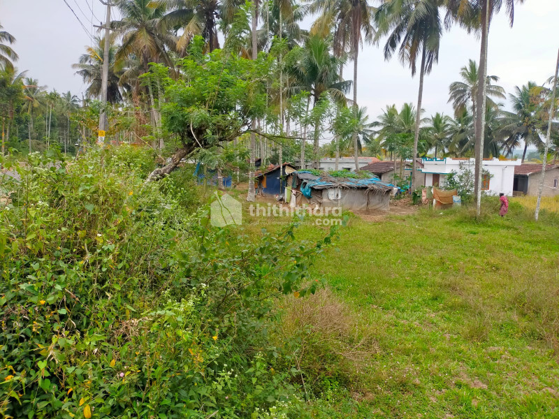 10 Cent Plot for Sale at Noolpuzha ,Wayanad