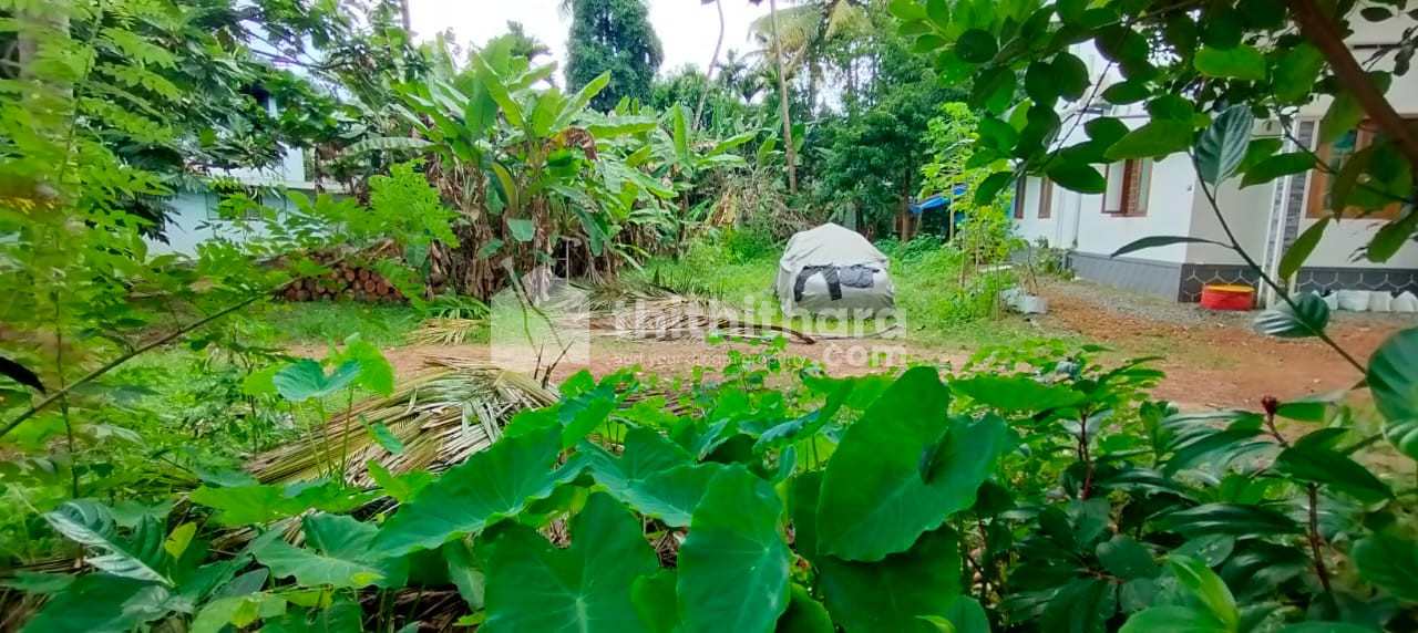  Residential Land for sale in Nedupuzha Kanimangalam Thrissur