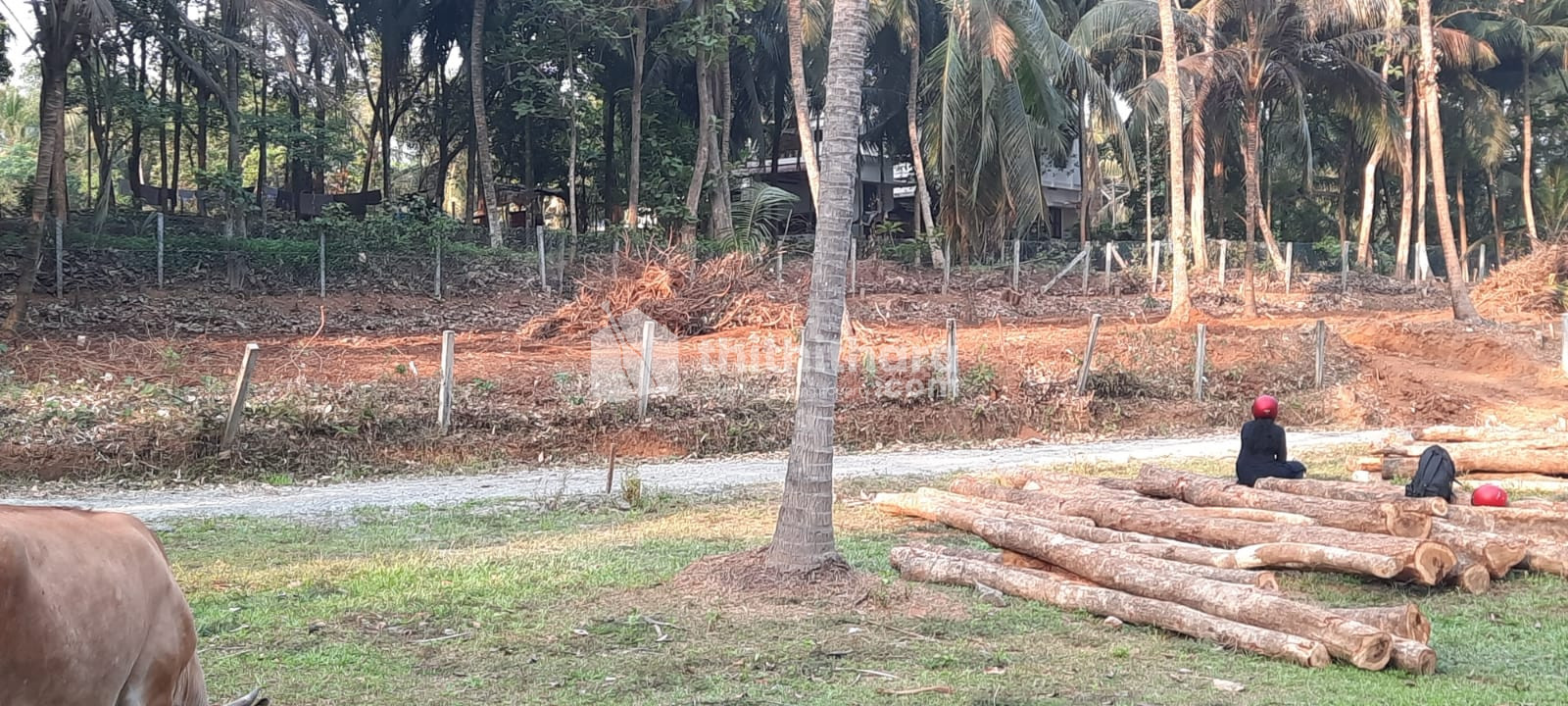 30 Cent Residential Plot for Sale at Kottayi, Palakkad