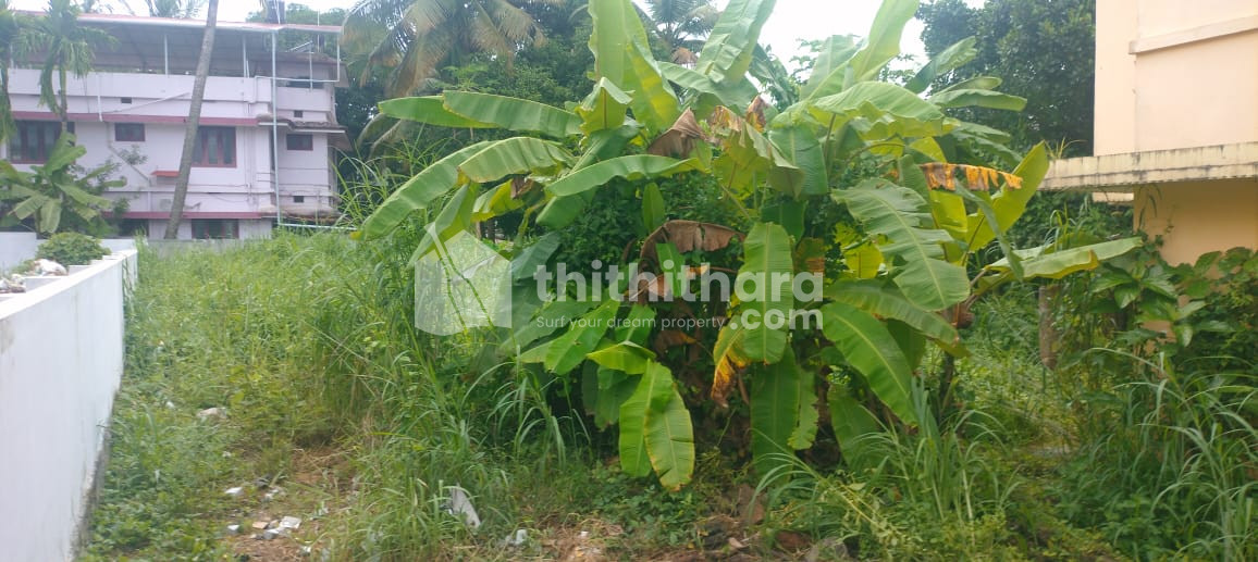   Residential Land For Sale in Westfort, Thrissur
