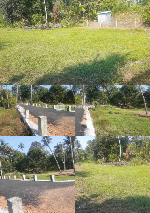 Agricultural land for sale at Mararikulam, Alappuzha