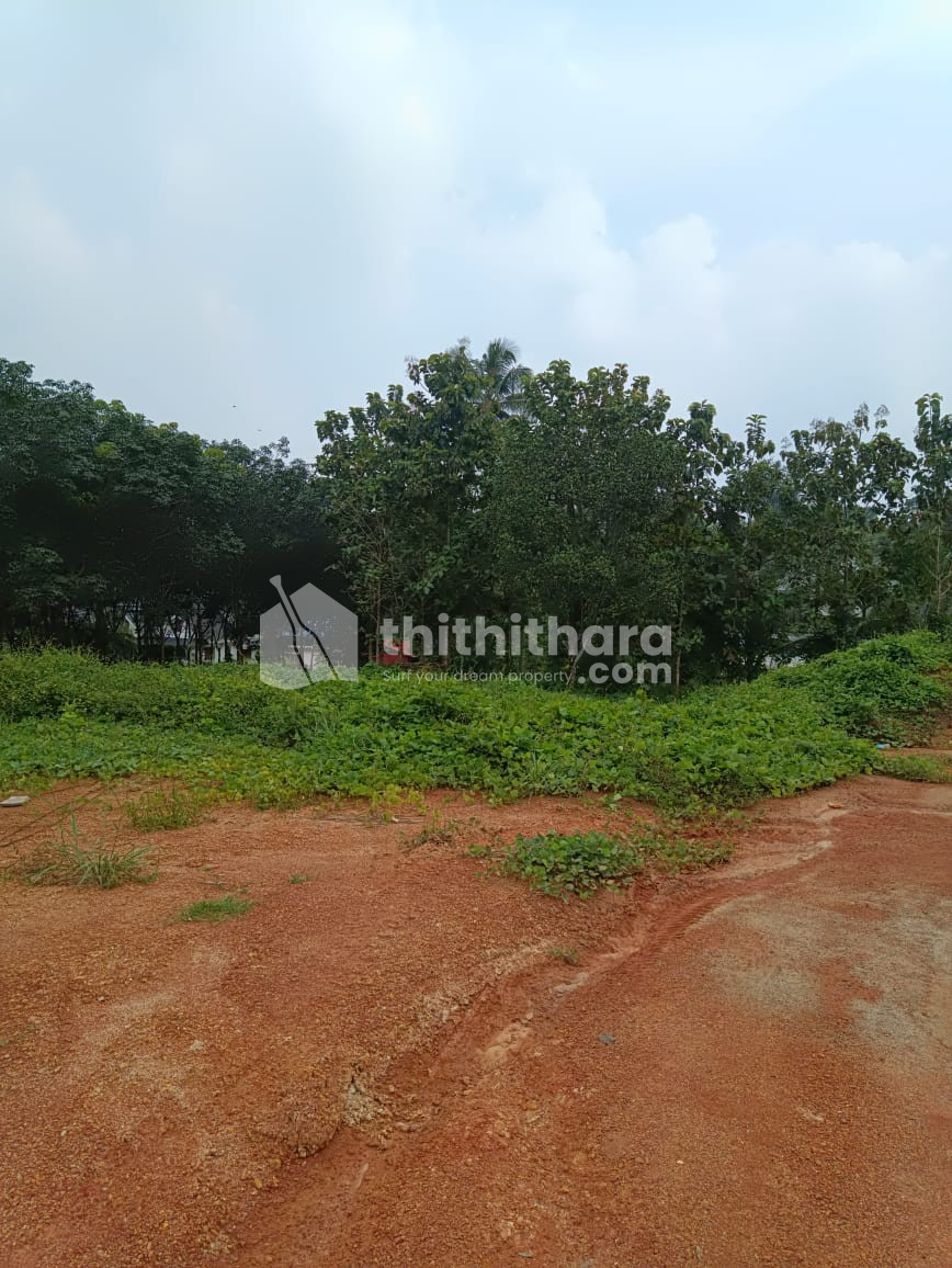 Residential land for sale at Thalayolaparambu Kottayam