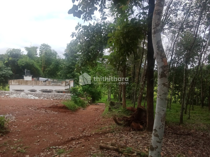 Residential land for sale at Kottarakkara Kollam