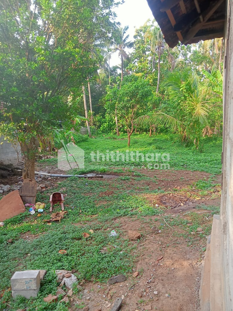 Residential land for sale at Pattikkad Thrissur