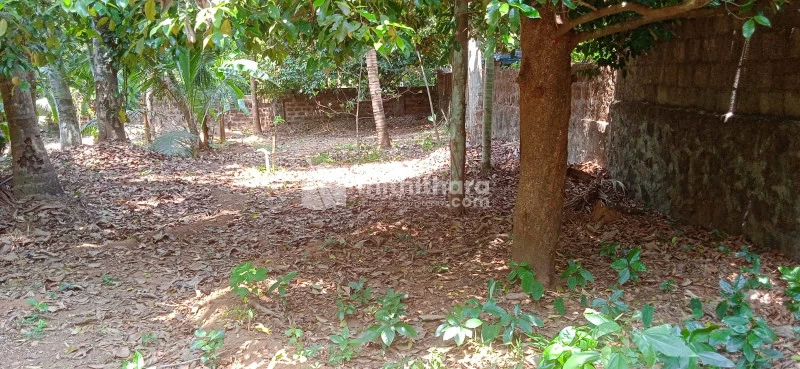 Plot for sale at Karukutty Ernakulam
