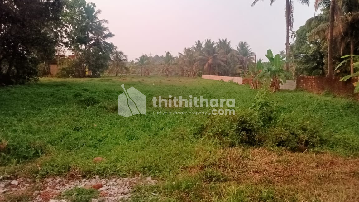 Agricultural land for sale at Aluva Ernakulam