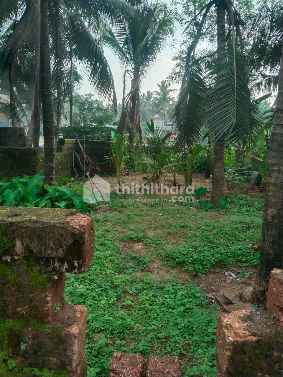 Plot for sale at Kolavayal Kasaragod