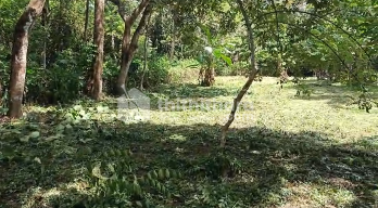 Residential land for sale at Irinjalakuda Thrissur