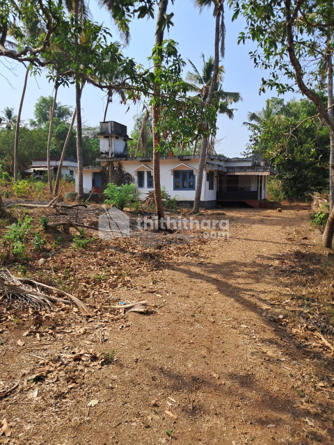 3 BHK house for sale at Payyanur, Kannur