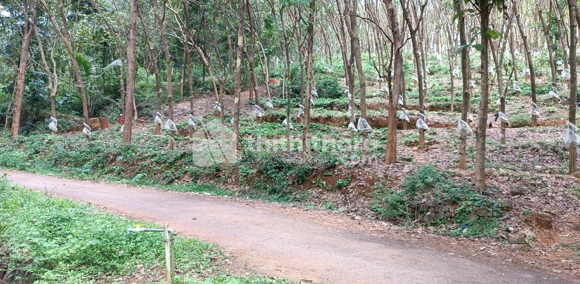 Commercial plot for sale at Perinthalmanna Malappuram