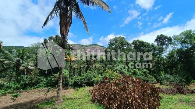 Beautiful hill view property for sale near Kalpetta, Wayanad.