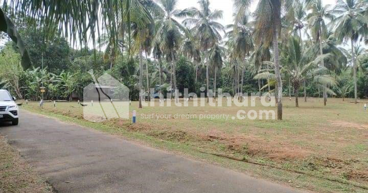Residential Land for sale at East Fort Thrissur 