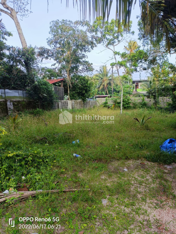 28 Cent residential plot for sale at Alappuzha