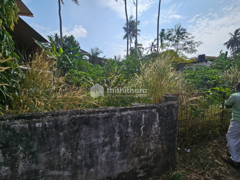  Residential Land for sale in Viyyur Thrissur