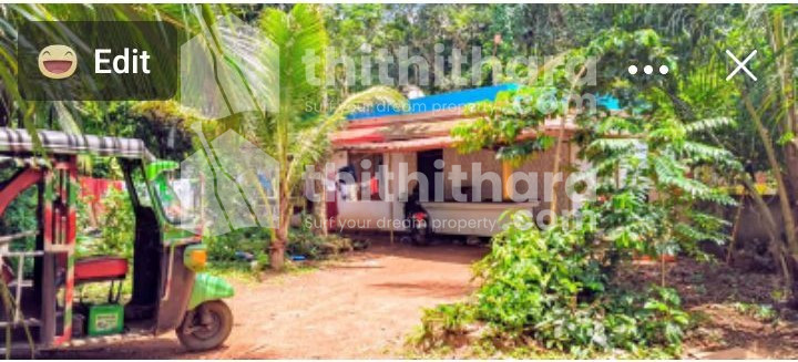ആലപ്പുഴ പുന്തല കുറ്റിമുക്കിൽ  വീടും സ്ഥലവും വില്പനയ്ക്ക് 
