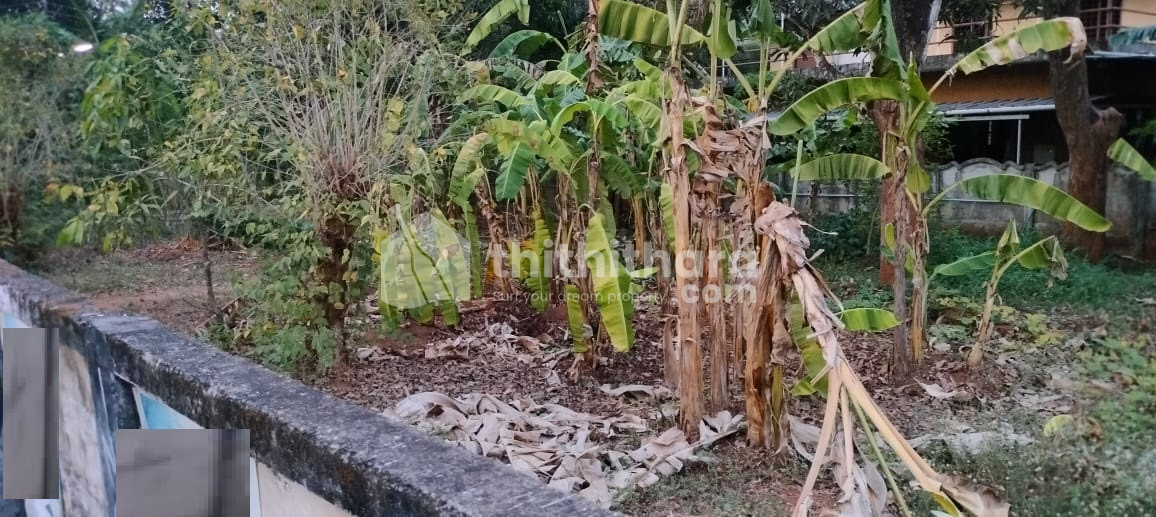 Residential plot for sale in Cheroor, Thrissur.