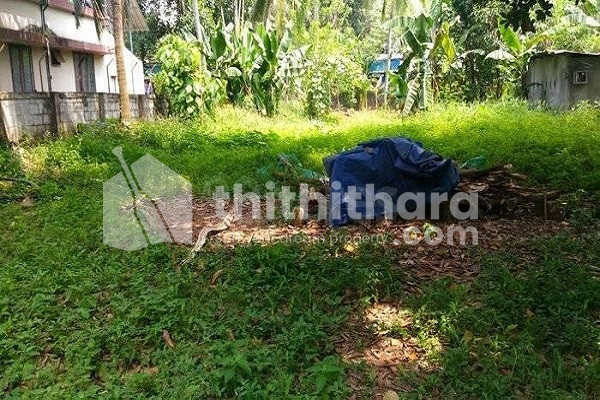Good residential land for sale in Ramavarmapuram Thrissur