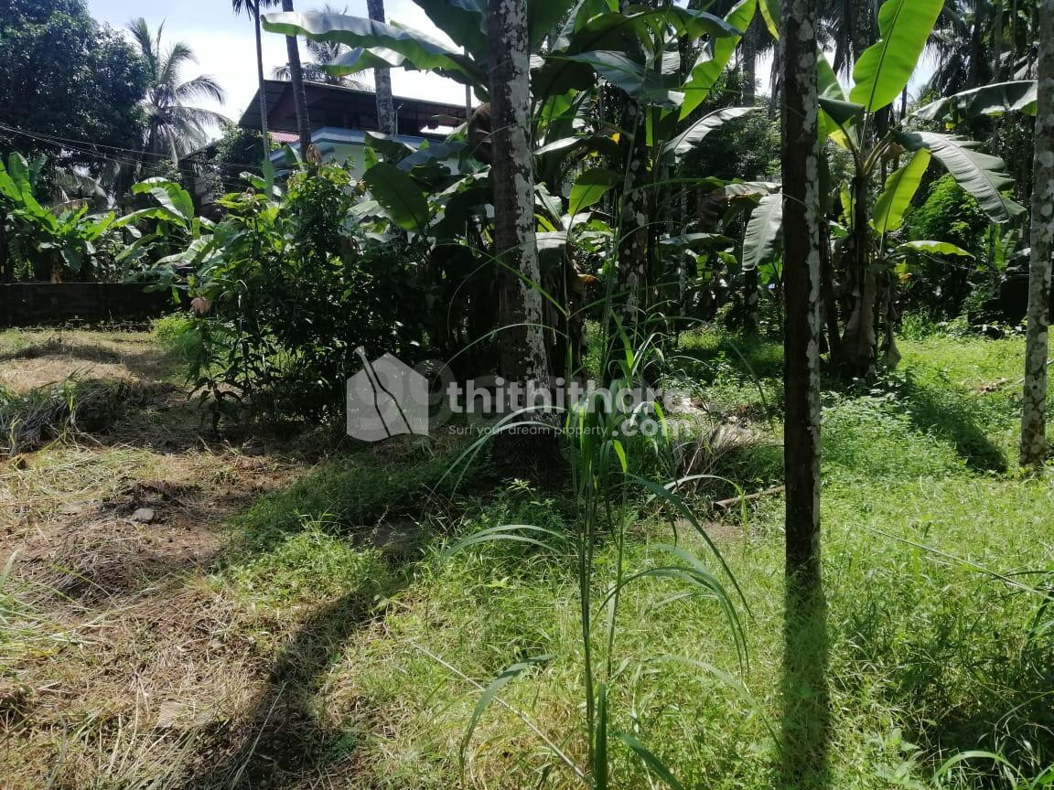 Residential Land for sale in Kodaly,Thrissur