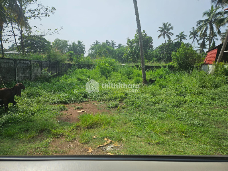 Residential land for sale in Ollur Thrissur
