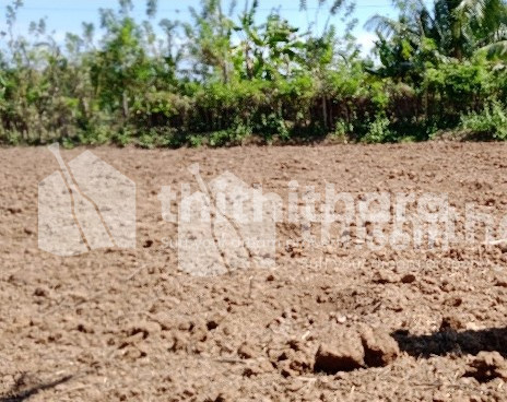 Residential land for sale at Perinthalmanna Malappuram