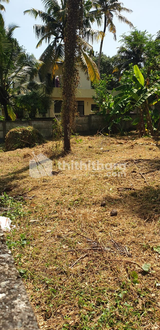 Residential land for sale at Madannada Kollam 