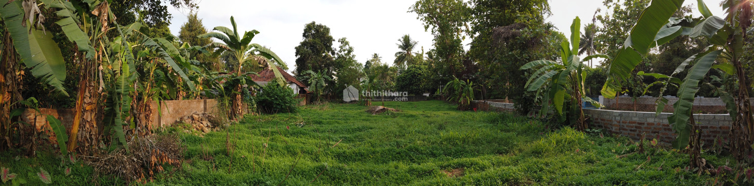 Residential land for sale at Chalakudy Thrissur