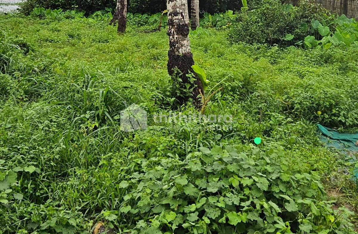 Residential Land for sale in Olari Chettupuzha Thrissur