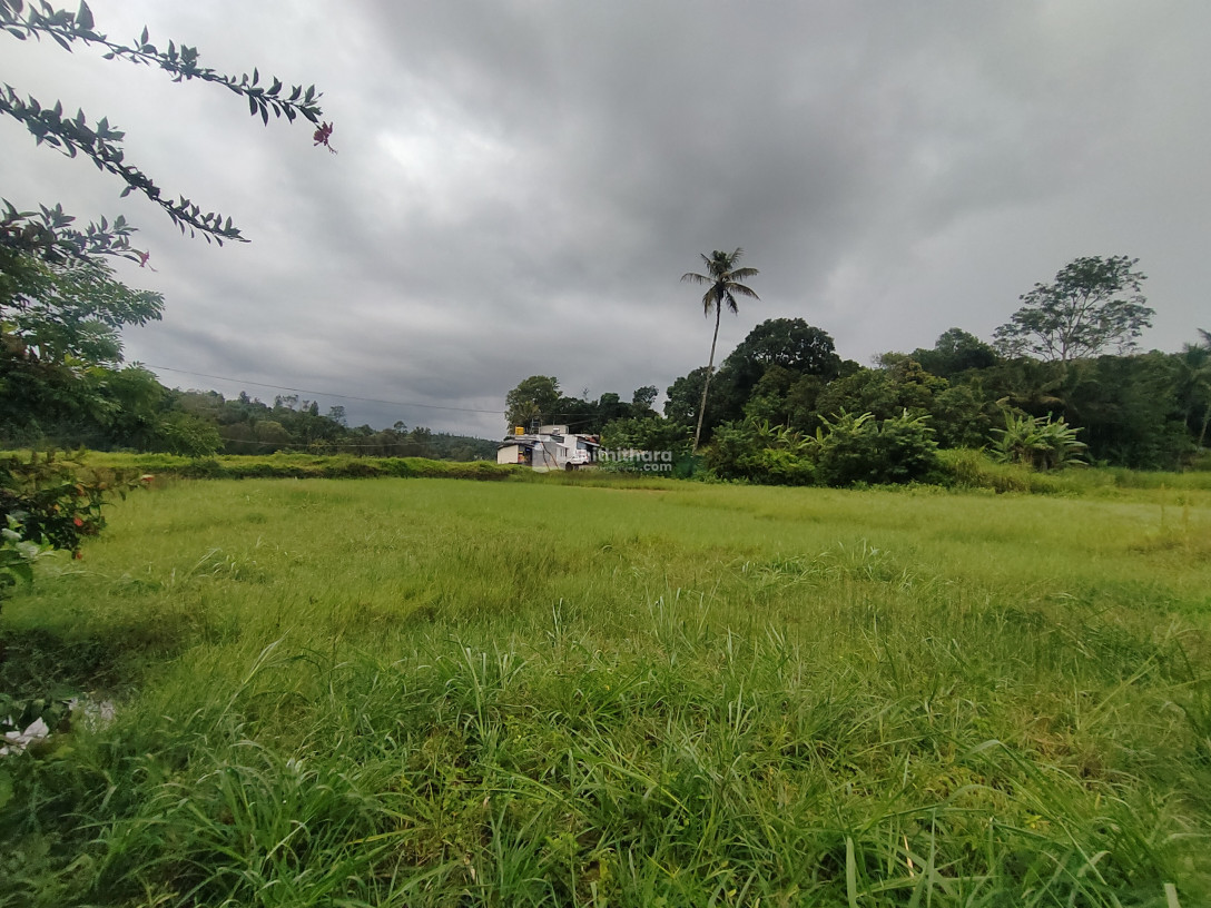 Residential land for sale at Udumbanchola Idukki