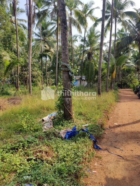 Residential land for sale at Payyoli Kozhikode