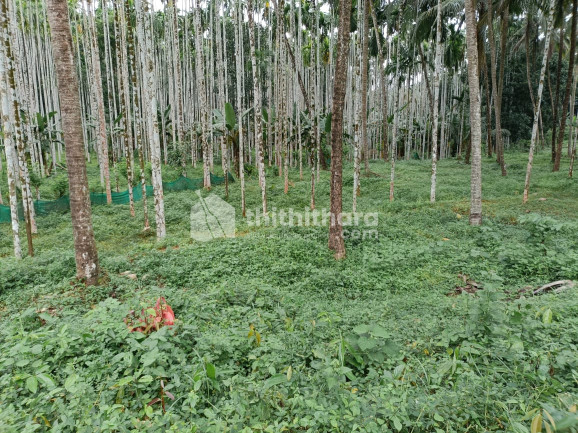 Residential land for sale at Areakode Malappuram