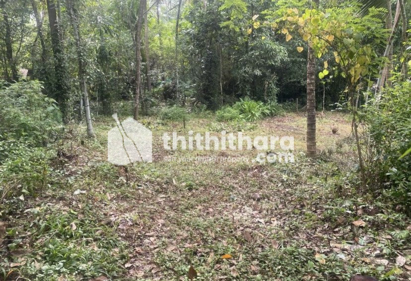 Residential land for sale at Thrithala Palakkad