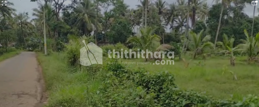 Commercial plot for sale at Panamaram Wayanad