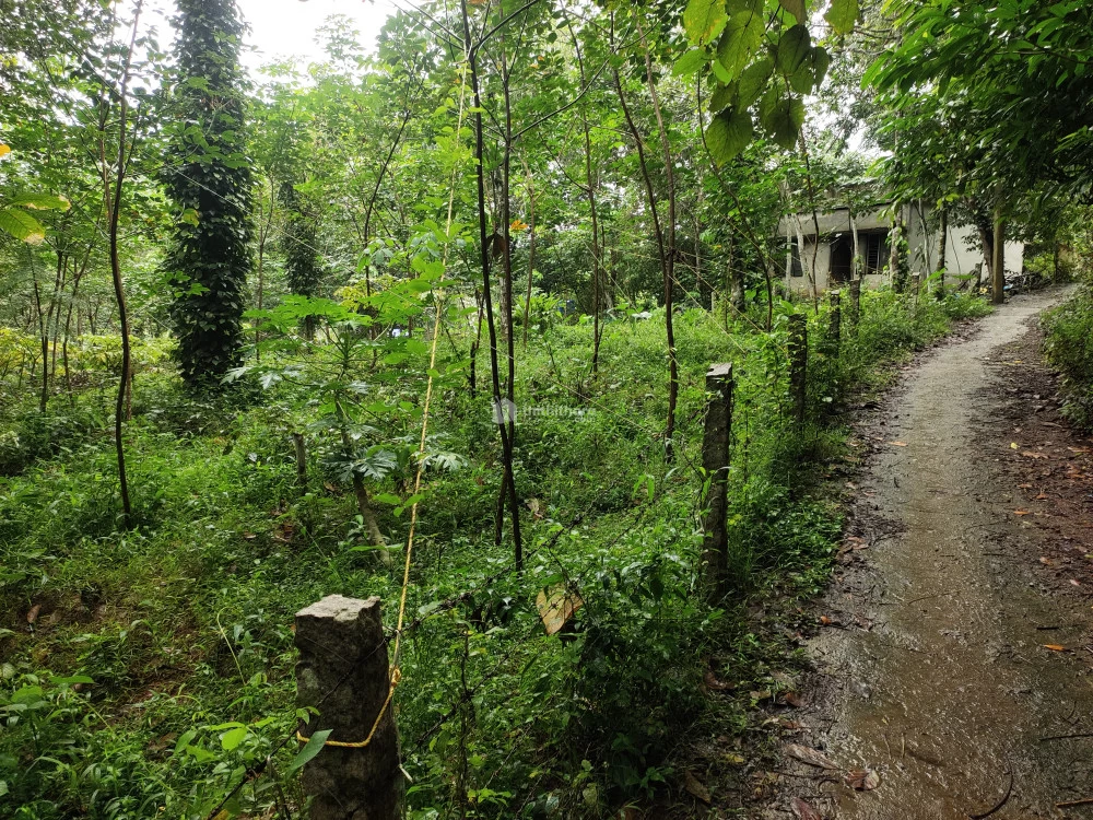 Residential Land for sale at Aryancode Thiruvananthapuram