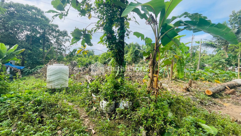 Residential Land available for sale in Nattakam Kottayam