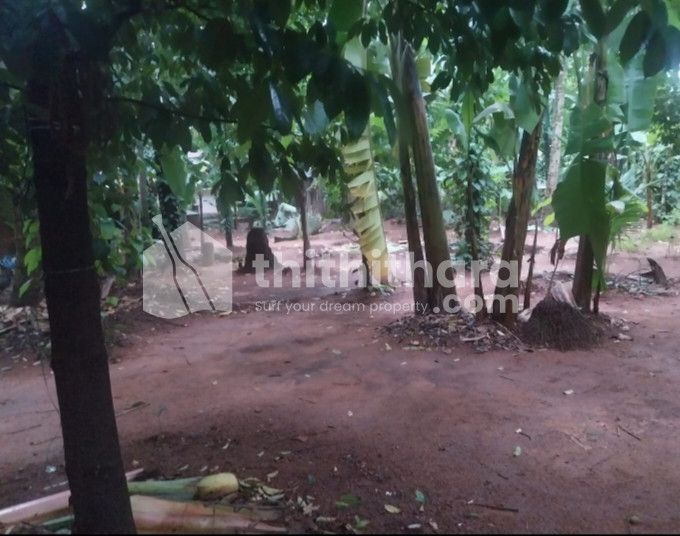 Residential land for sale at Chelakkottukara Thrissur