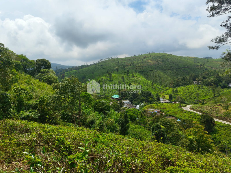 Commercial Plot for sale at Kuttikanam Idukki