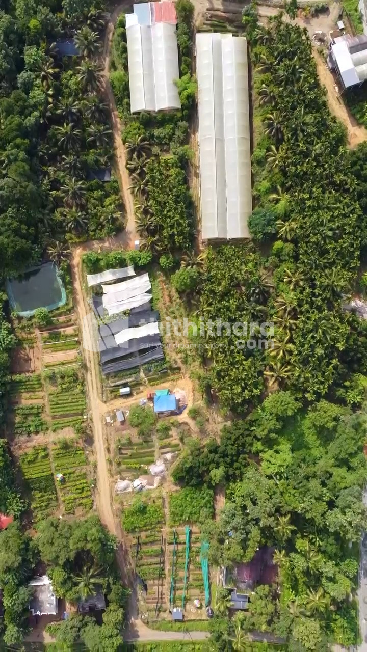  Commercial plot for sale at Pookattukavu Palakkad