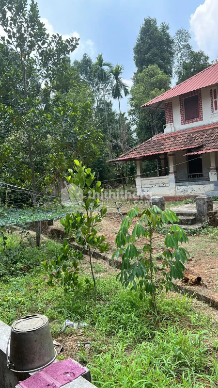 70 cent land for sale at Kizhimuri ,Ernakulam